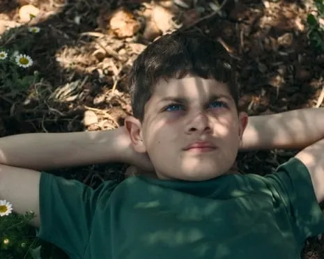 Israel's Culture Minister Threatens Cut National Film Awards After Palestinian-Themed Film Wins Best Feature