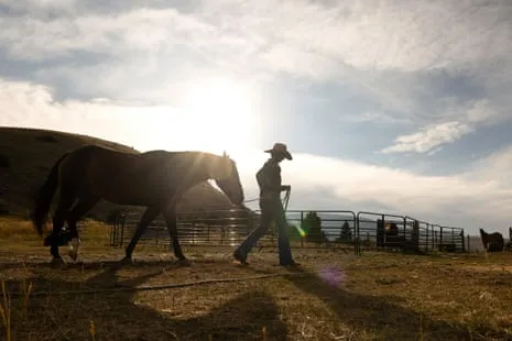 Get to Know the US Female Ranchers Reshaping Contemporary Farm Life