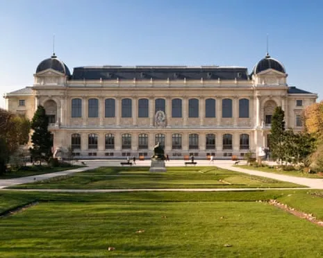 Priceless Gold Specimens Taken in Daring Heist at French National Museum